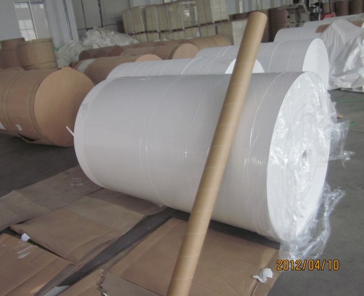 best sale roll offset printing paper